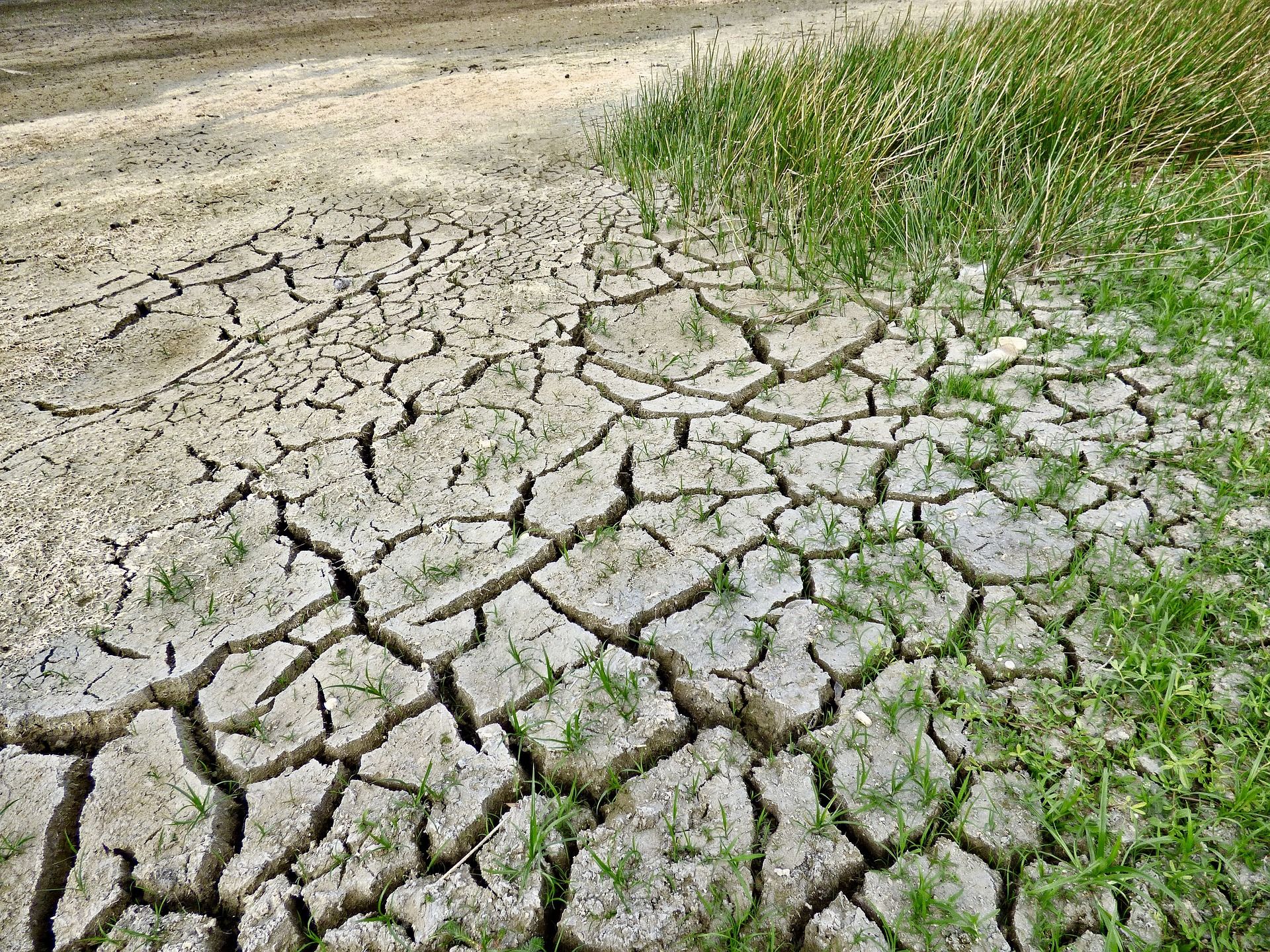 Il 2020 sarà l'anno più caldo di sempre?