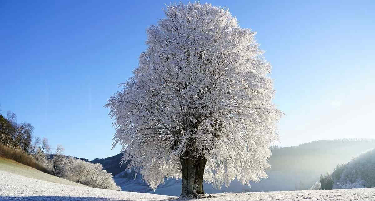 Meteo, prossima settimana: ancora freddo e maltempo. Possibili nubifragi e nevicate