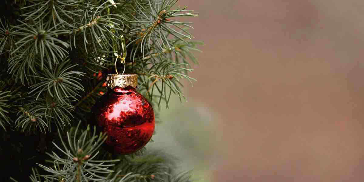 Albero di Natale: origini e tradizioni