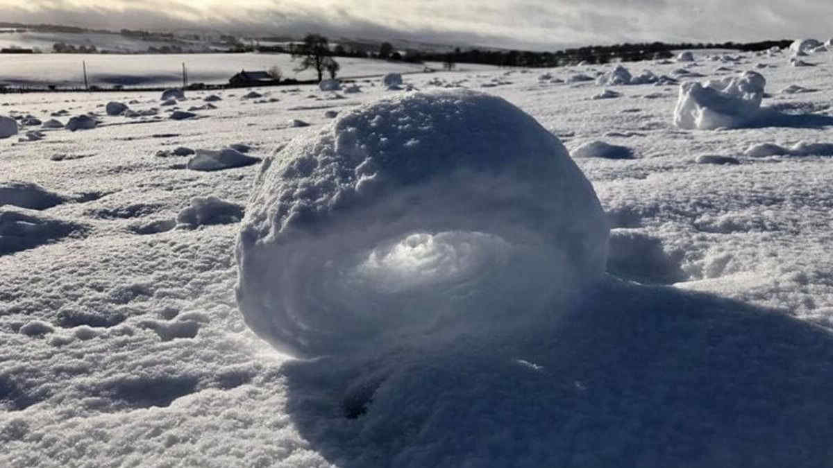 Snow Roller, come si creano (da sole) le ruote di neve