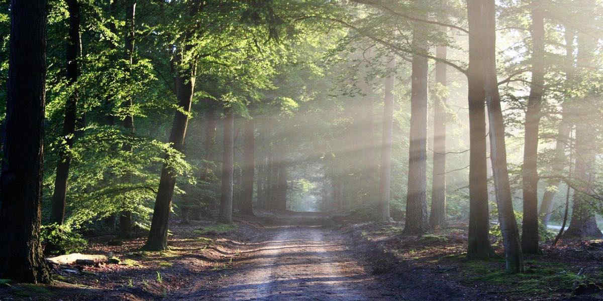 Piemonte e Liguria vietate le passeggiate, caccia e pesca: ecco il motivo