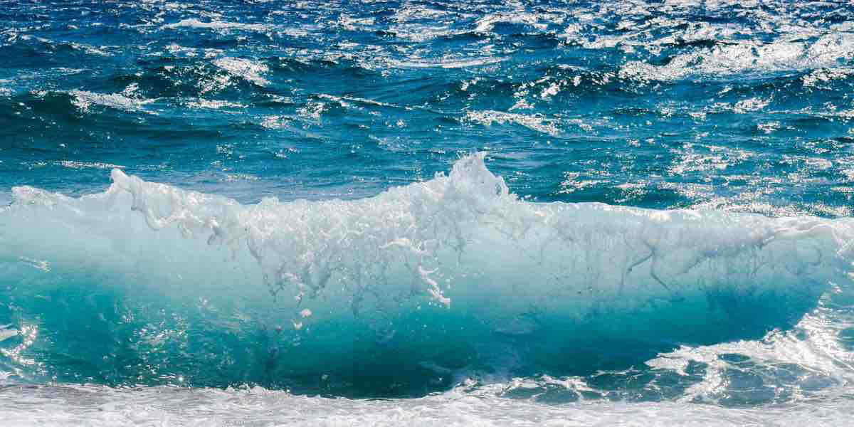 Caldo record per gli Oceani nel 2021: "Come 7 atomiche al secondo"