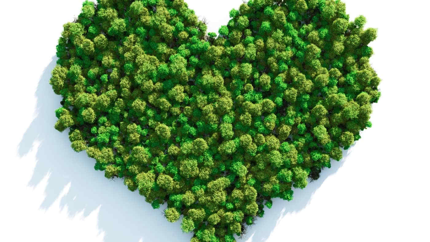San Valentino 2022, idee di regali sostenibili: fashion, green e passionali