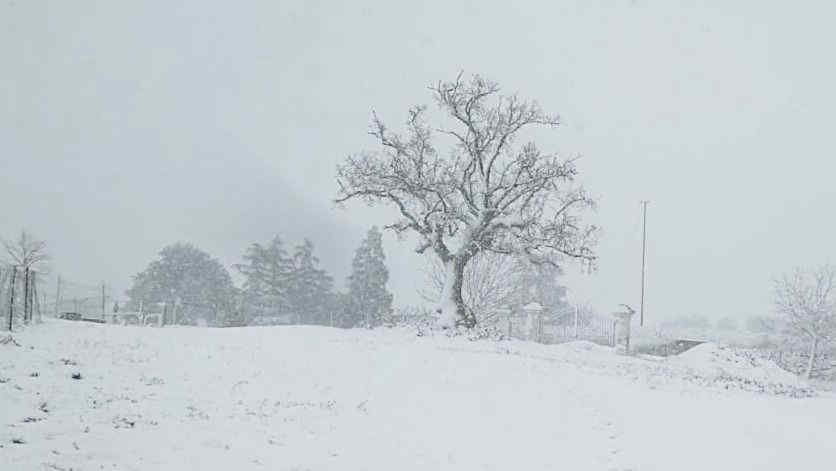Meteo, neve in Puglia: le immagini