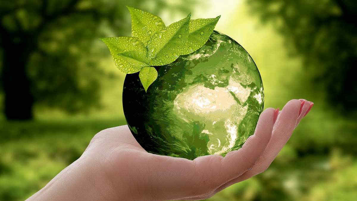 Giornata della Terra 2022: quali sono i temi green più cercati dagli italiani su Google
