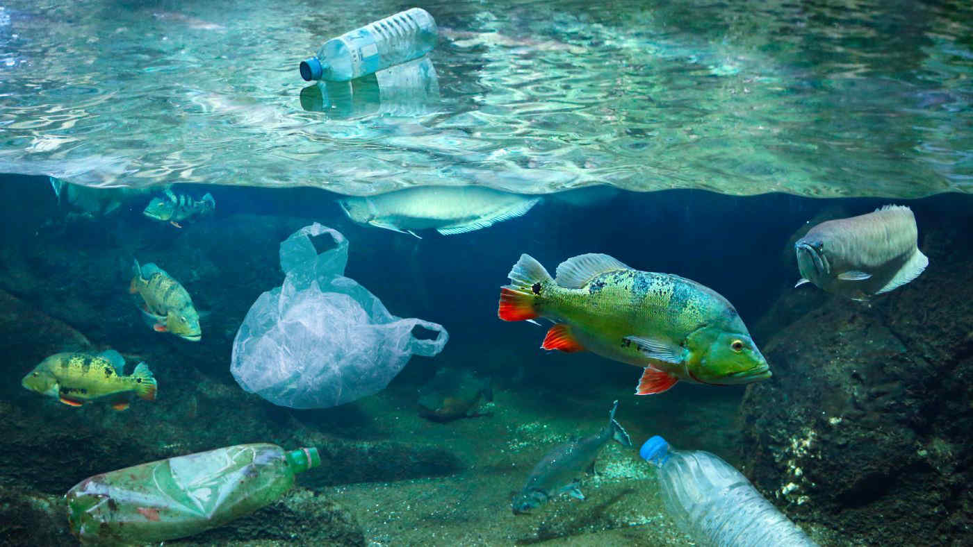 Pescatori “spazzini” del mare per recuperare 30mila tonnellate di spazzatura in 10 anni