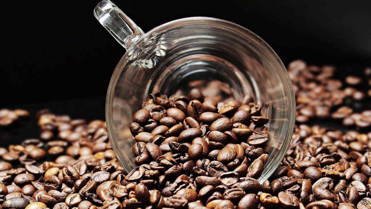 La crisi climatica minaccia le coltivazioni di caffè: addio espresso?