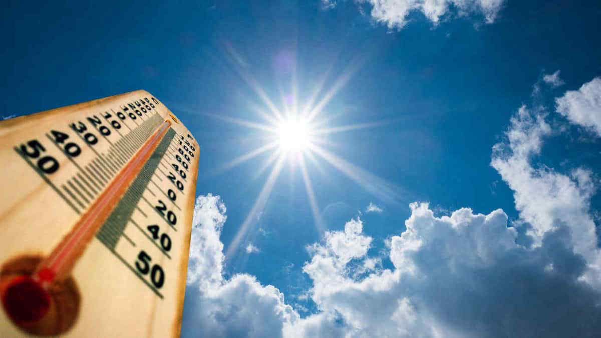 Meteo: caldo africano, l'apice tra domani e venerdì. Le temperature previste e le regioni coinvolte