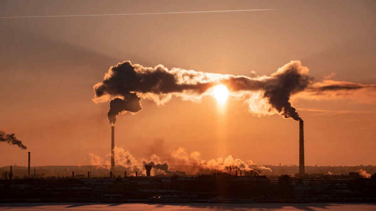 Il report Ue: l’inquinamento dell’ambiente causa il 10% dei casi di cancro
