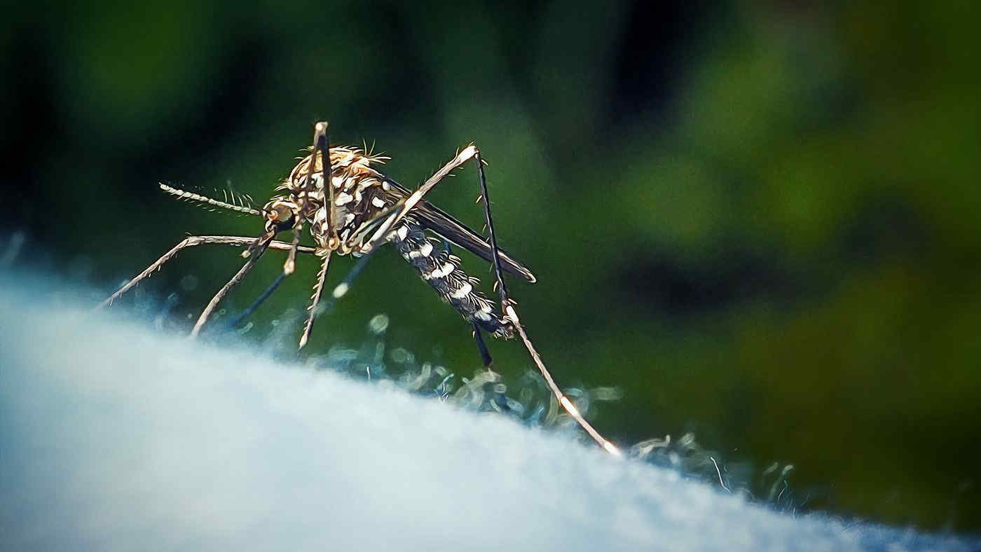 Come eliminare le zanzare (con ricarica usb)