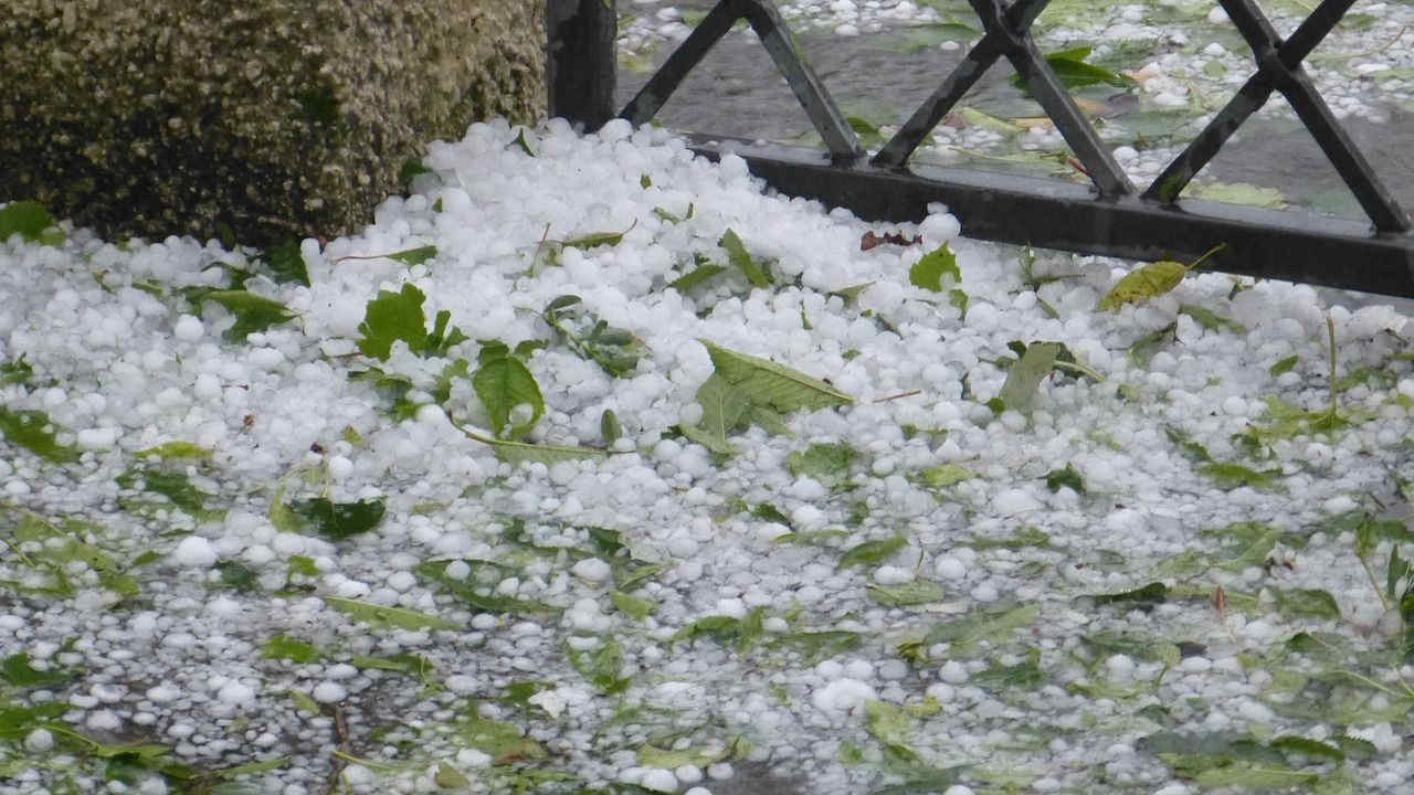 Maltempo: allagamenti, alberi caduti, auto danneggiate dalla grandine