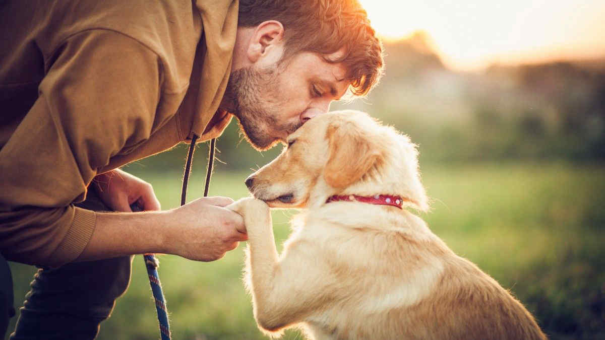 Giornata Mondiale del Cane, lo studio: piange di gioia quando rivede il padrone