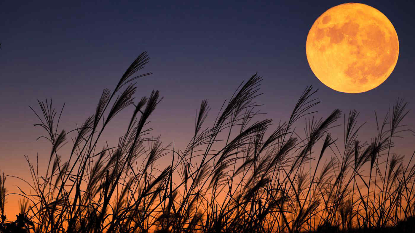 Luna Piena del Raccolto: spettacolo imperdibile nel cielo di stasera, 10 settembre