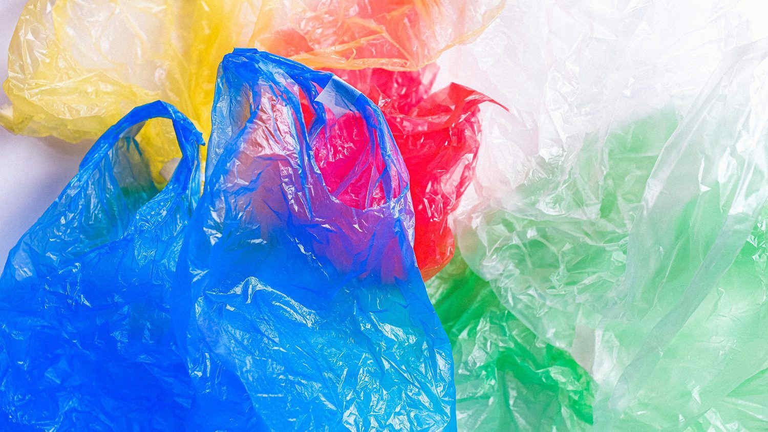 Buste di plastica: 4 su 10 non sono ancora biodegradabili