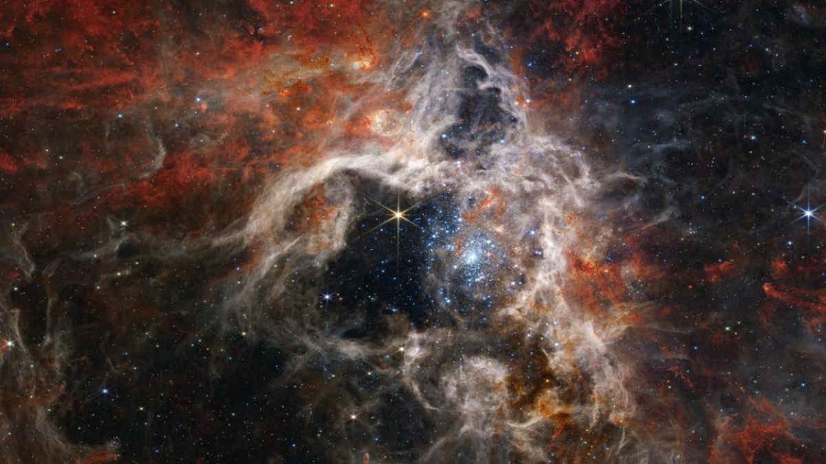 Lo spettacolo della Nebulosa Tarantola: le stelle immortalate da Webb | FOTO