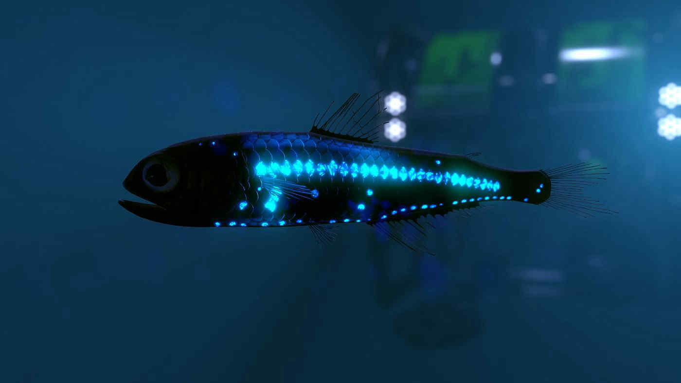 Pesce lanterna: fonte di cibo o nuovo disastro ambientale?
