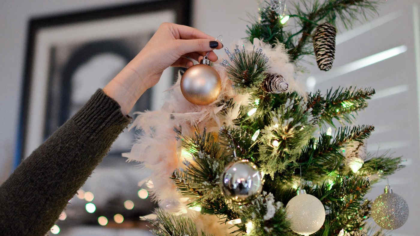 Come nasce la tradizione dell’albero di Natale? 5 curiosità