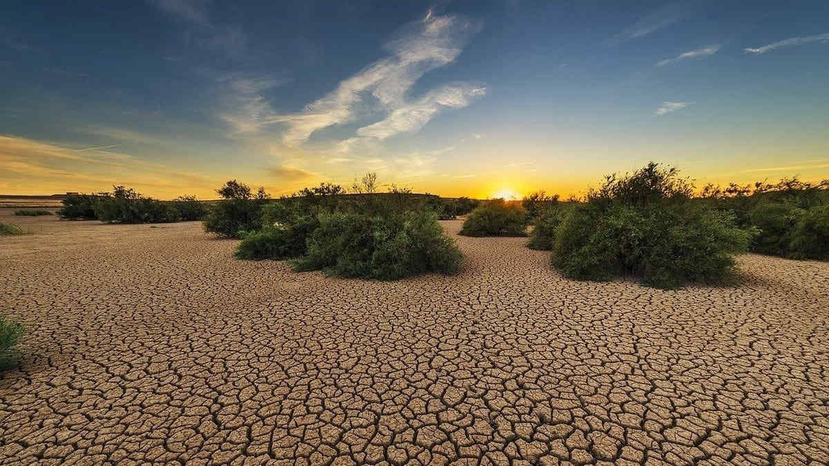 Cambiamenti climatici: l’ondata di caldo eccezionale di questi giorni ha già infranto i record dell’inverno europeo