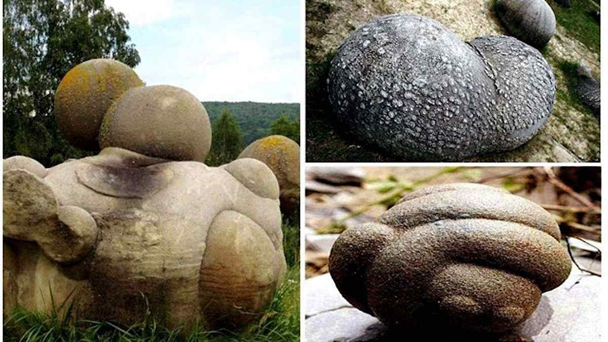 Le "pietre vive" che camminano, crescono e si riproducono: la spiegazione dei Trovants, Patrimonio dell'Umanità Unesco