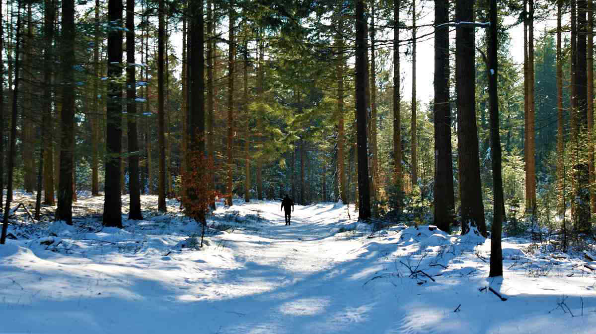 Trekking in inverno: i benefici fisici e psicologici