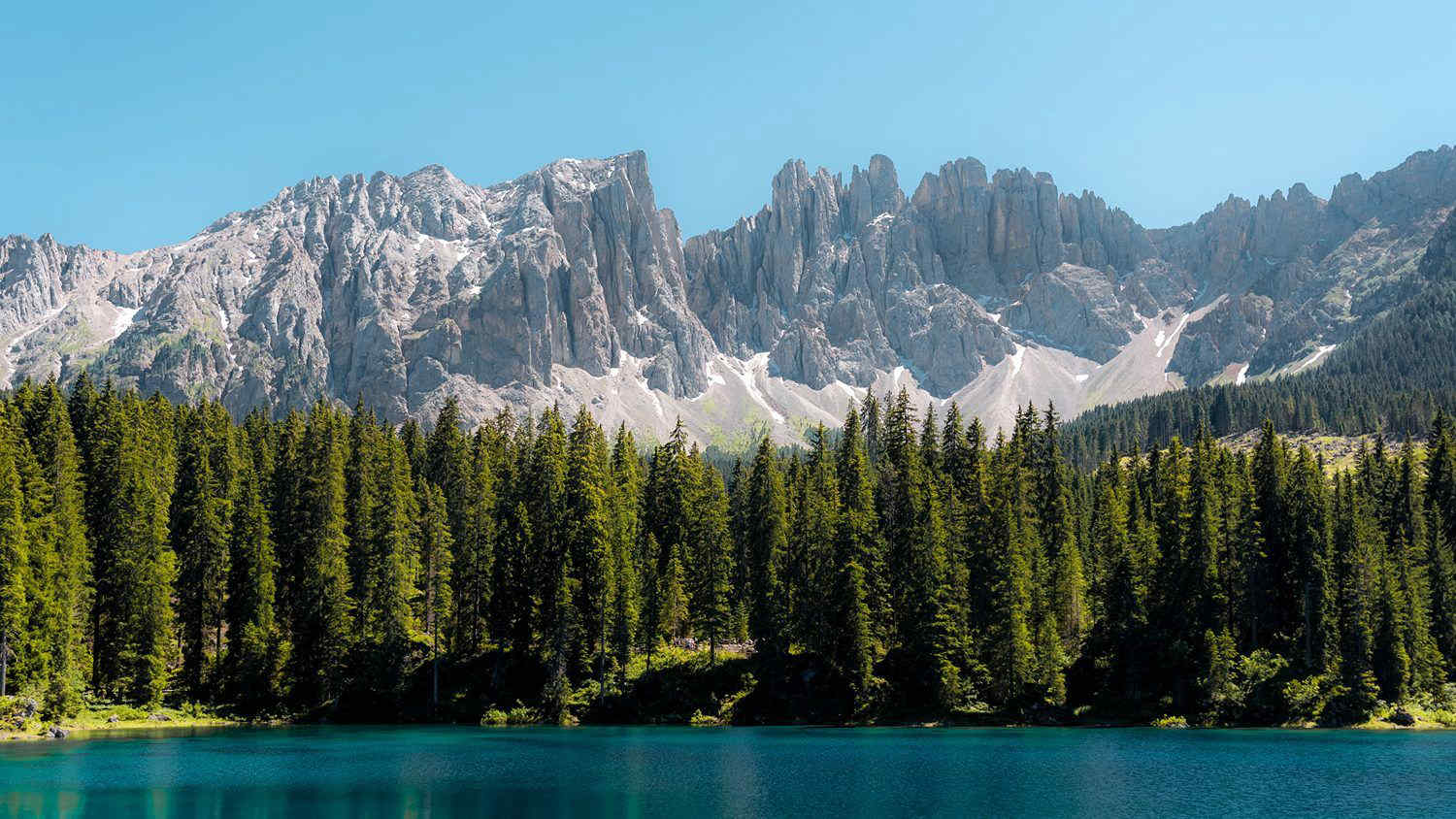 Le foreste più belle d’Italia: luoghi ricchi di fascino da vivere e amare