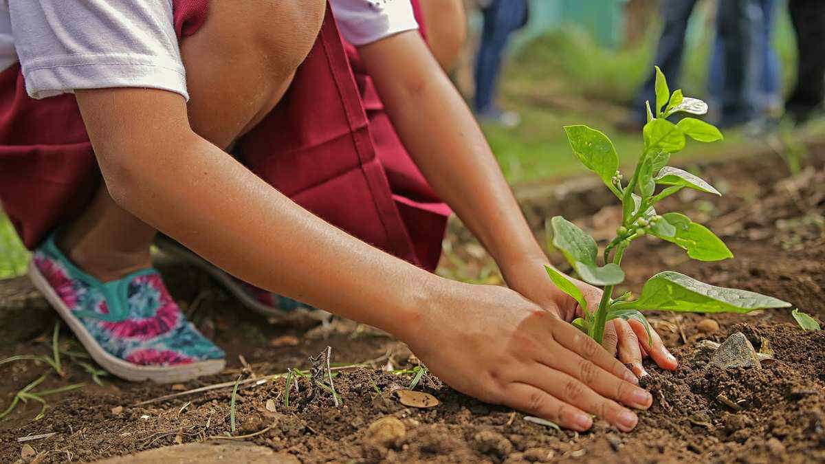 Bambini e giardinaggio: un binomio troppo spesso sottovalutato