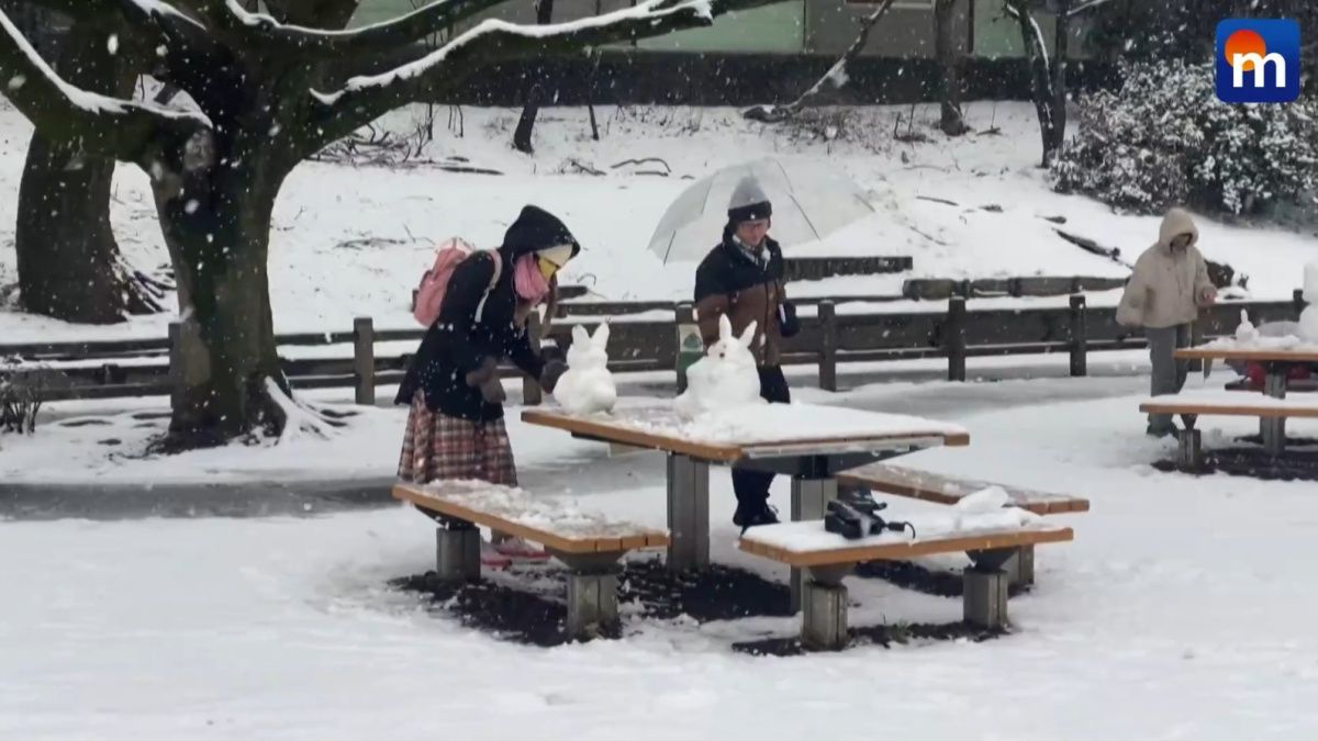 Neve a Tokyo: le immagini spettacolari dal Giappone. VIDEO