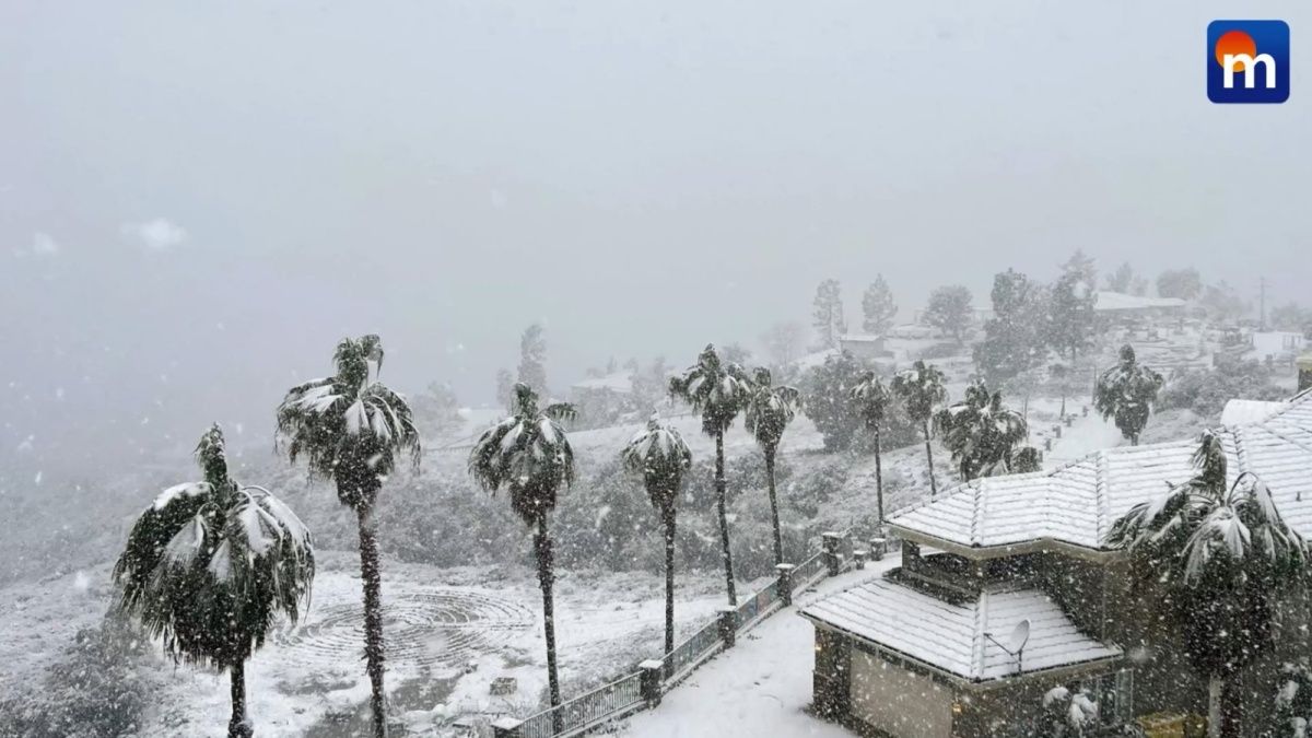 La neve a Los Angeles: il raro spettacolo in California. VIDEO