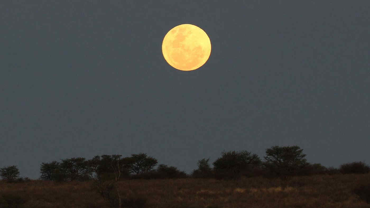 Arriva il Plenilunio di marzo, ecco quando vedremo la Luna Piena del Lombrico (e perché si chiama così)