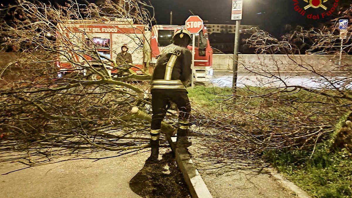 Piemonte: numerosi danni a causa del forte vento, c'è anche una vittima
