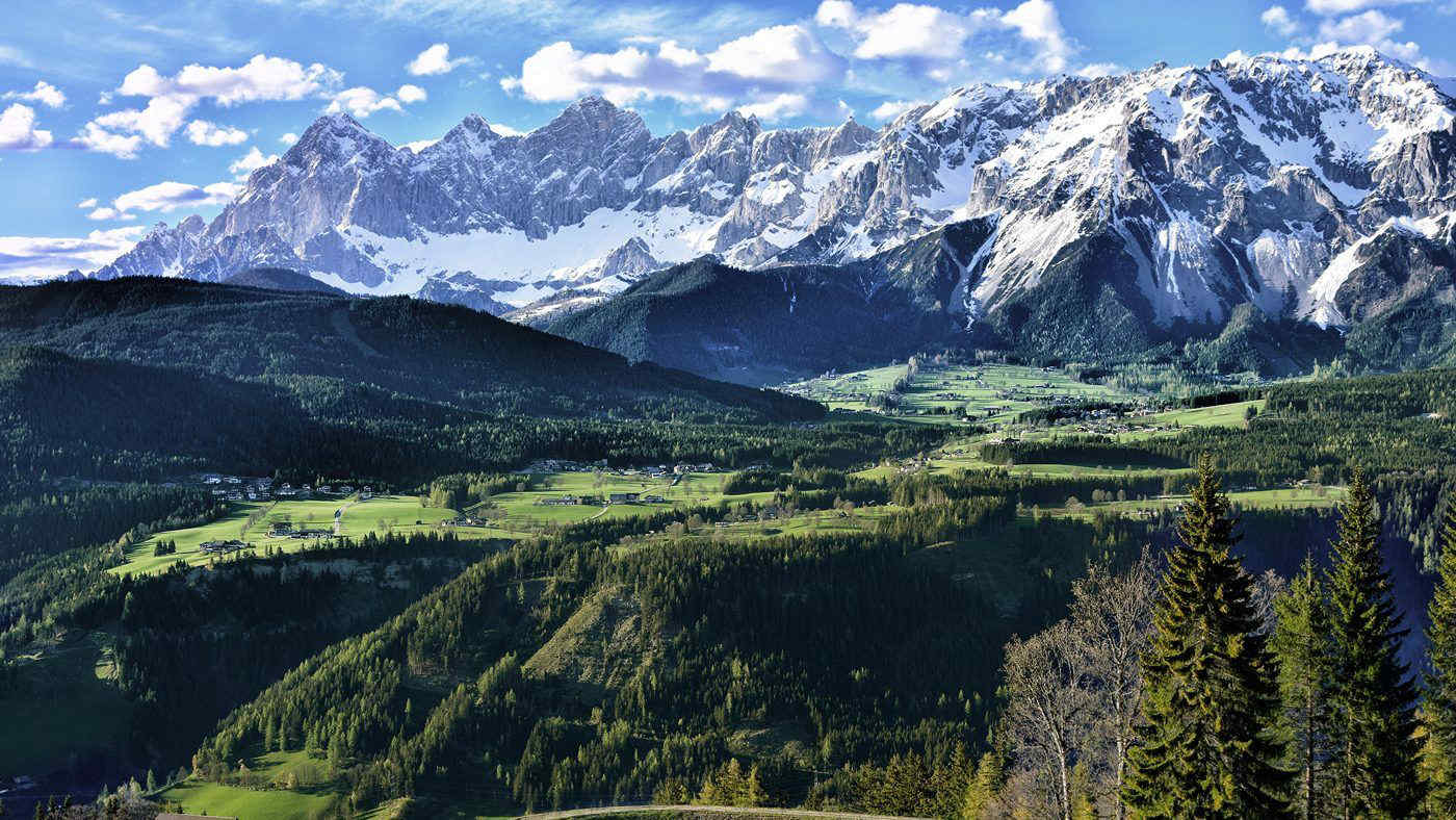 La crisi climatica modifica l’ecosistema delle Alpi: danni alla flora in via di estinzione