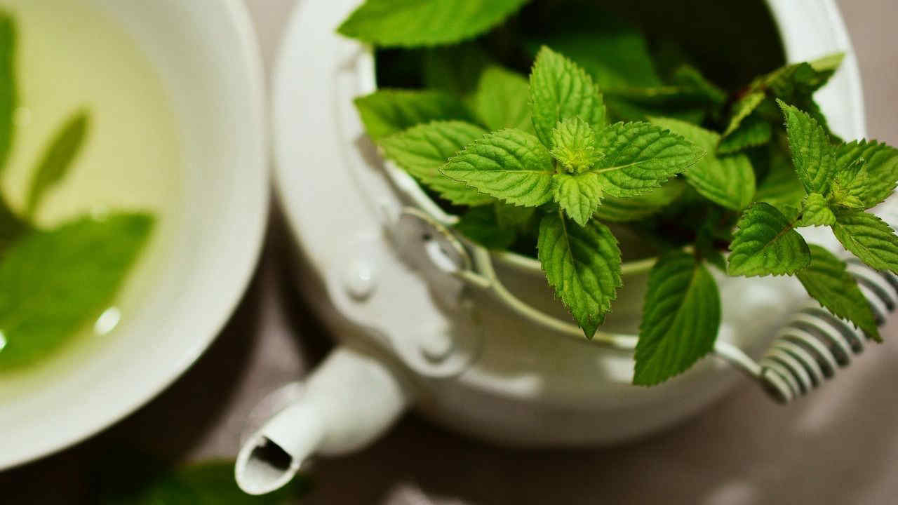 Menta piperita e mentuccia, come riconoscerle ed evitare problemi per la salute