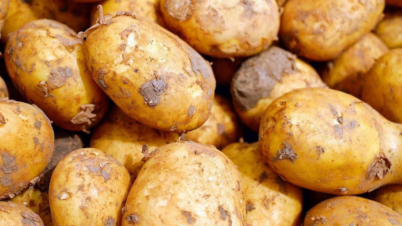 Come evitare che le patate germoglino, ecco 5 consigli per una conservazione ottimale (oltre al trucco del contadino)