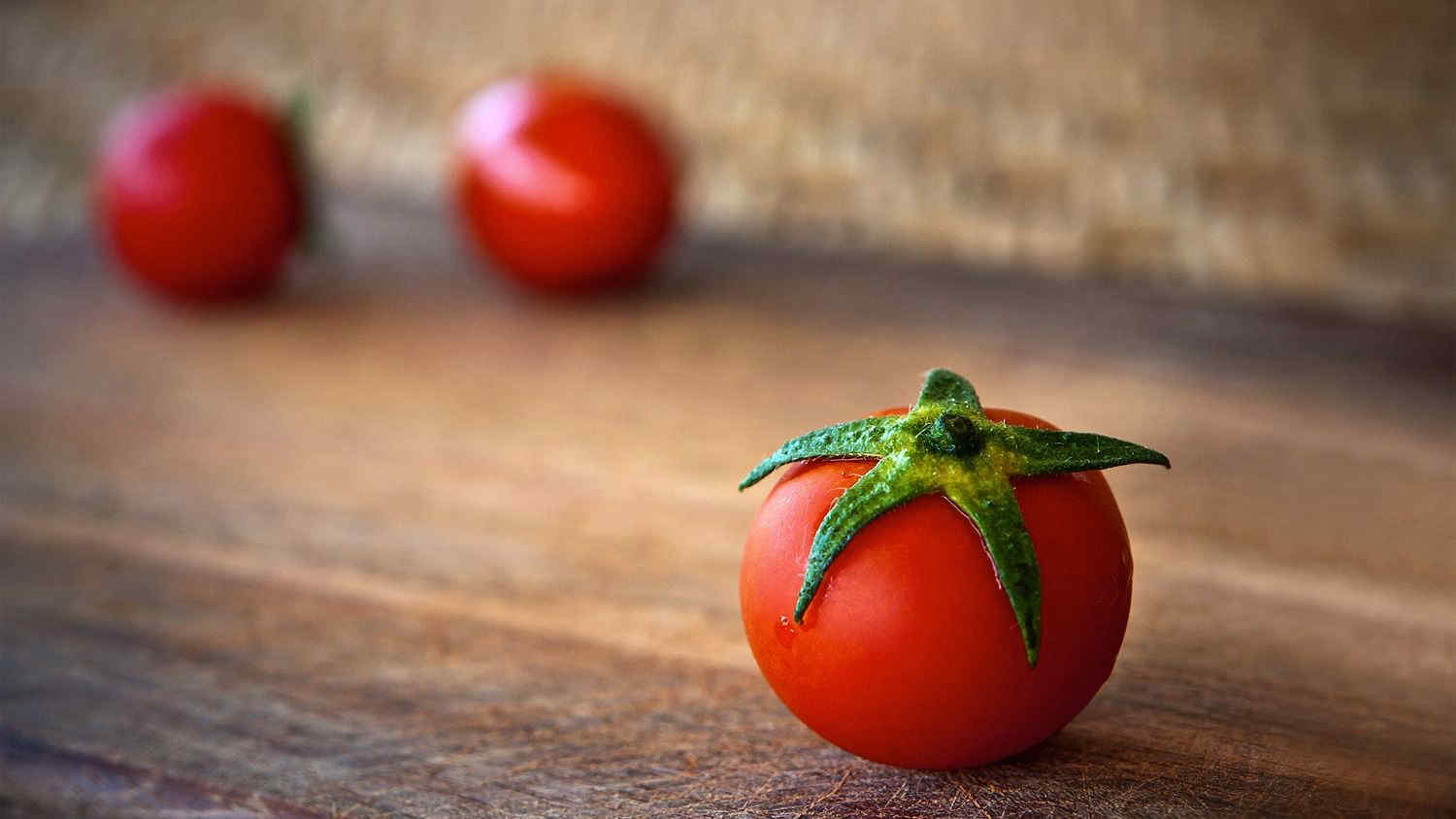 Coltivare pomodori nell'orto, attenzione a non commettere questi errori