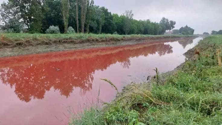 Un canale si è colorato di rosso a Conselice: rilievi dell'Arpae