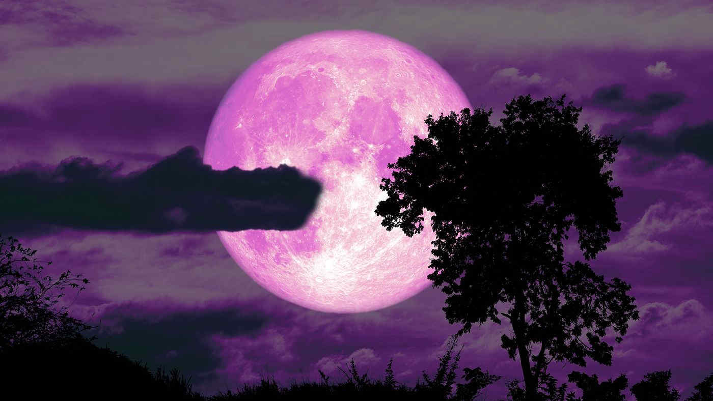 Luna Piena delle Fragole, stasera domenica 4 giugno 2023: a che ora vederla e perché si chiama così