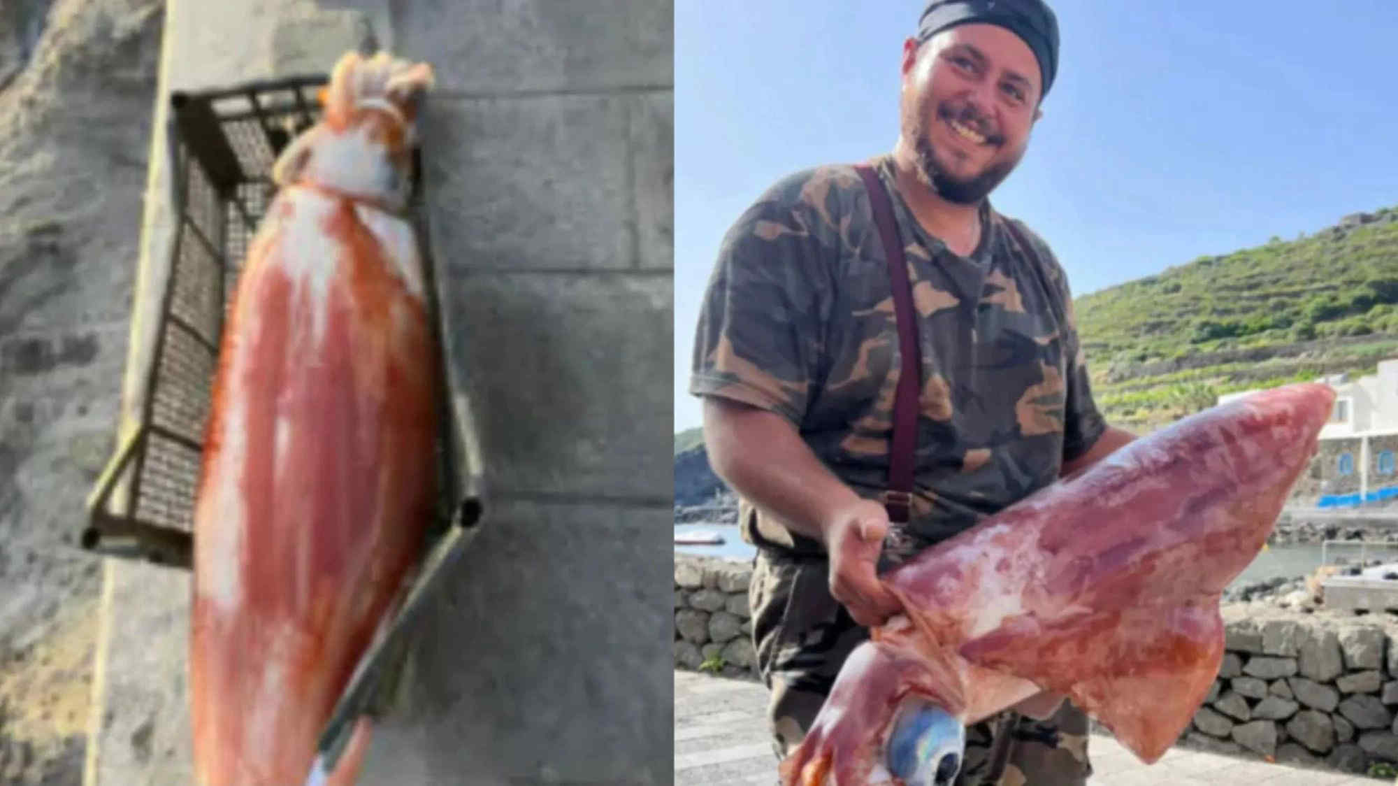 Pantelleria, catturati due calamari giganti da oltre 15 chili: pesca record