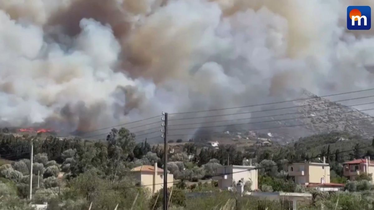 Incendi in Grecia, Atene assediata dal fuoco. VIDEO