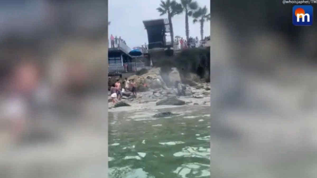Leoni marini attaccano i bagnanti, terrore in spiaggia. VIDEO