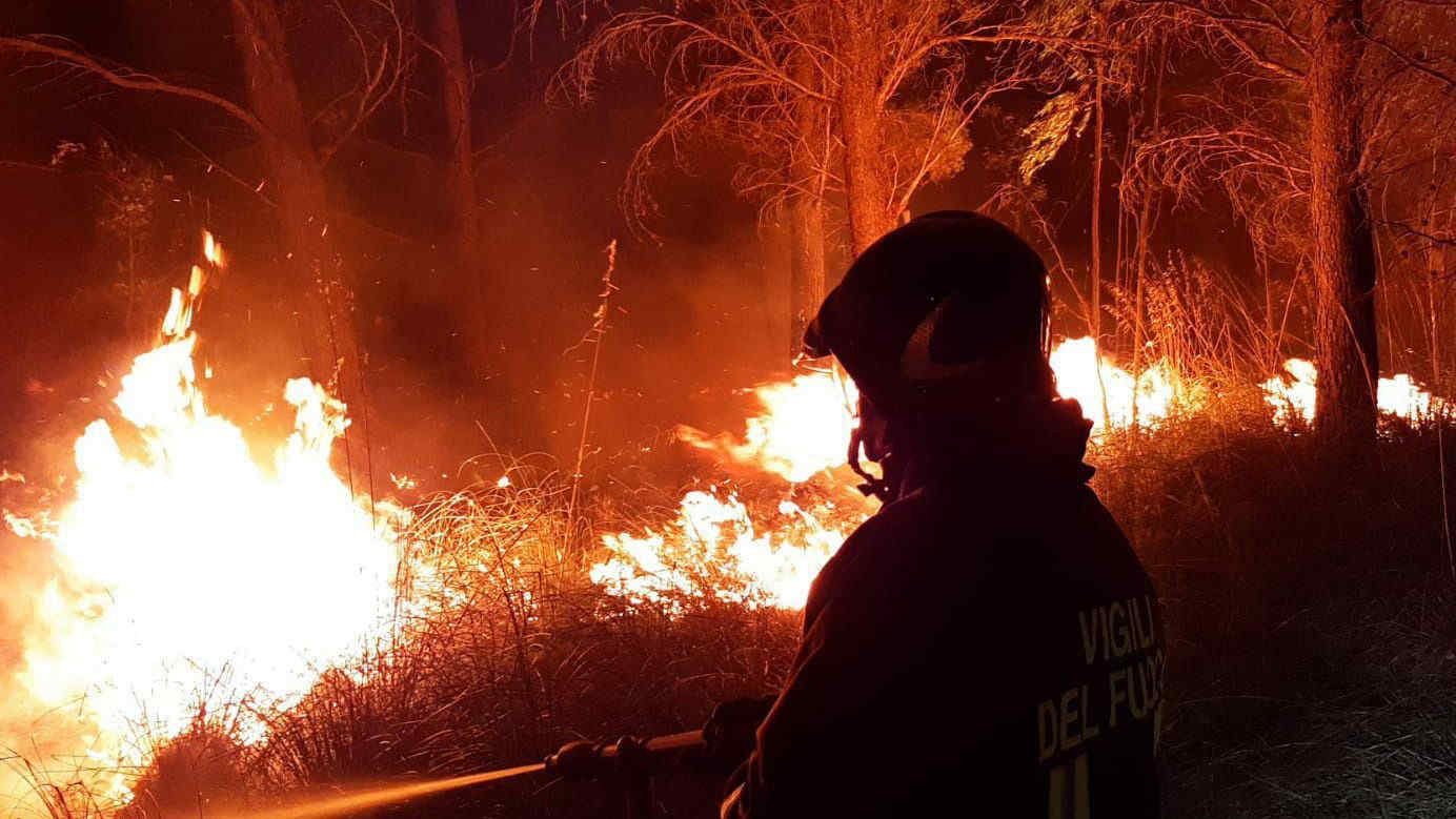 Incendio all'Isola d'Elba: evacuato un campeggio, 700 turisti e abitanti lasciano le case