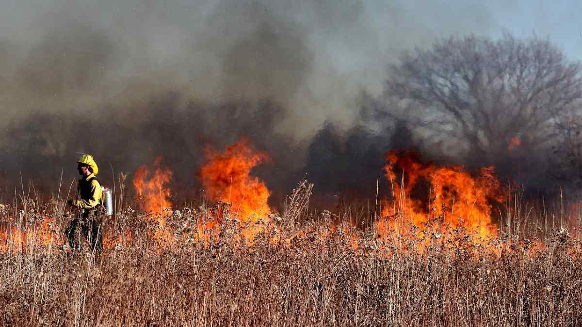 Gli incendi contribuiscono, e non poco, al riscaldamento globale