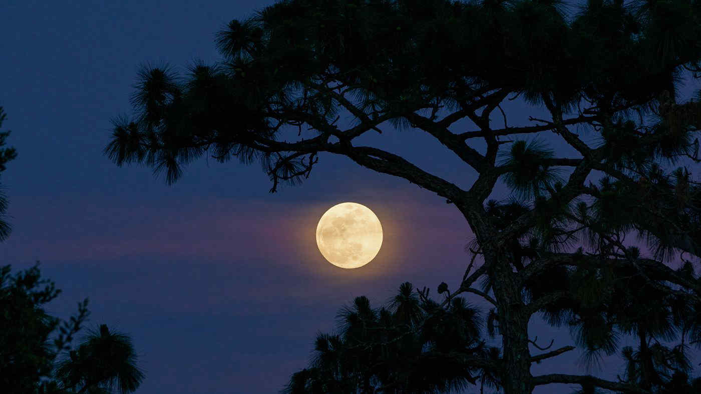 Arriva la Superluna Blu “abbracciata” a Saturno, ecco come godersi lo spettacolo (a occhio nudo e in diretta streaming)