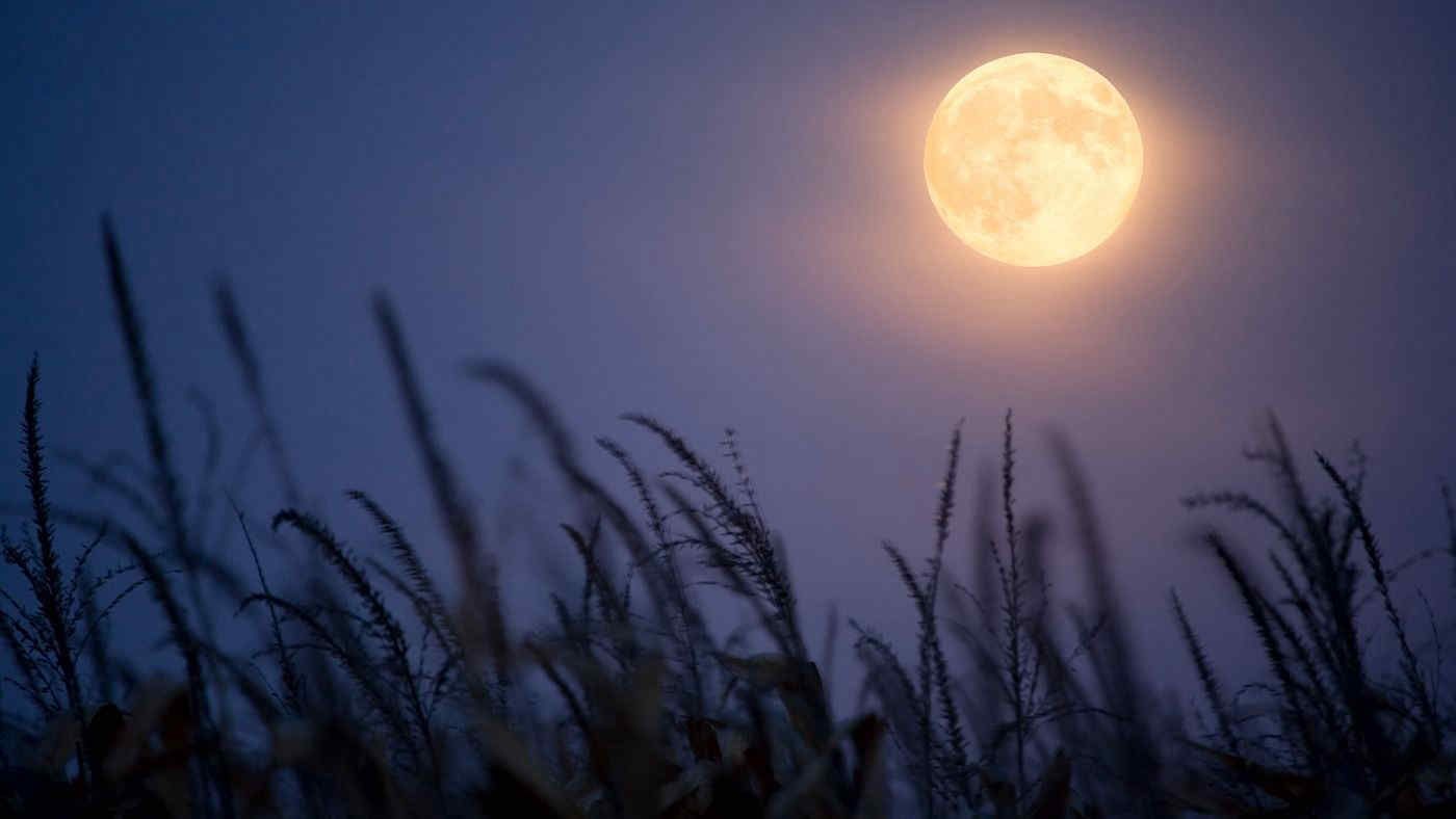Luna Piena di ottobre, data e curiosità dell'undicesimo plenilunio 2023