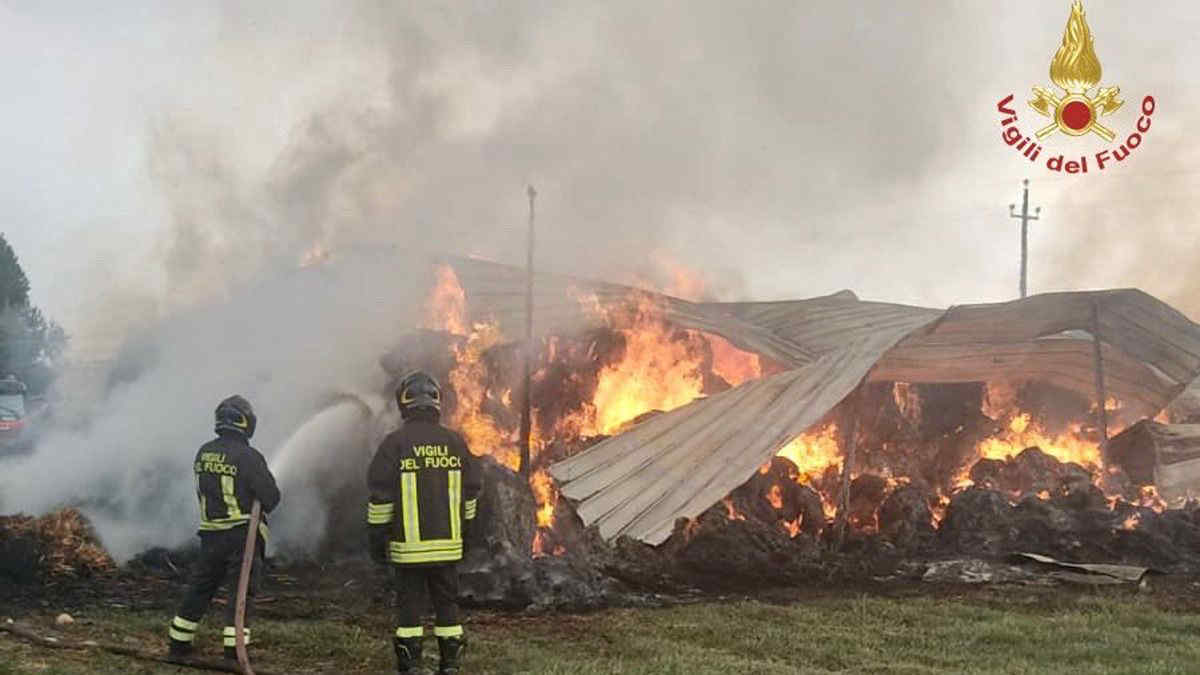 Incendi al Sud Italia: le fiamme hanno distrutto boschi, case e auto in Calabria e in Sicilia - Video