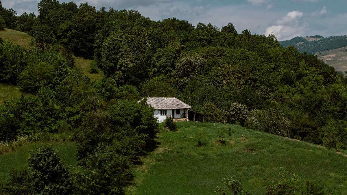 Vivere nel verde a contatto con la natura o il mare allunga la vita: lo studio della Washington State University