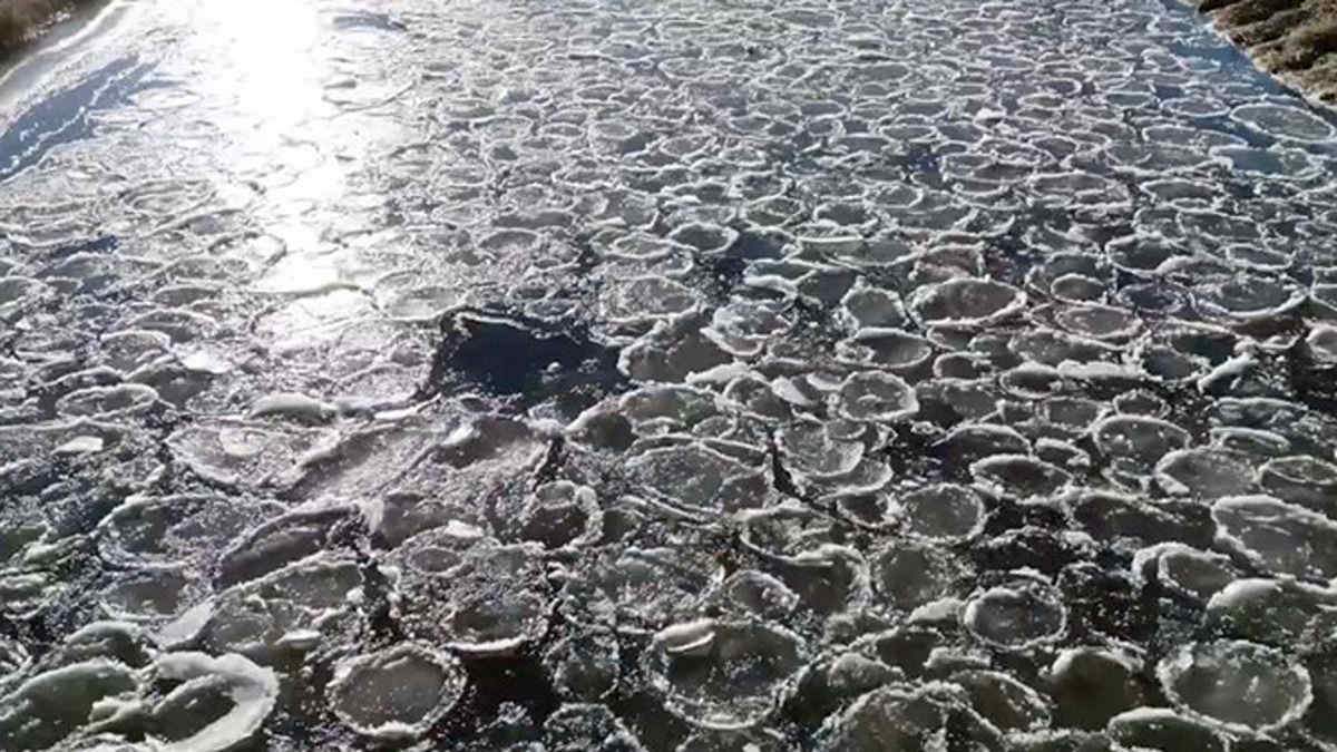 Pancake di ghiaccio, cosa sono e come si formano: il caso in un fiume nel Minnesota