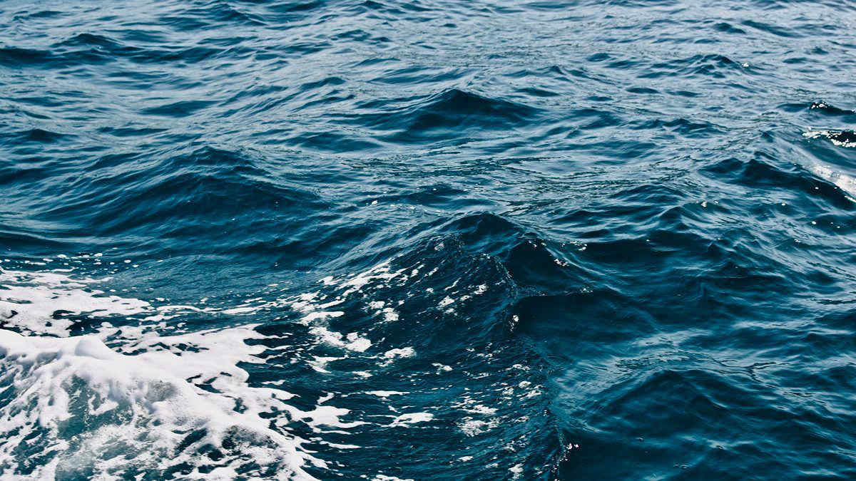 Temperature degli oceani, nel 2023 è salita la "febbre" dei mari