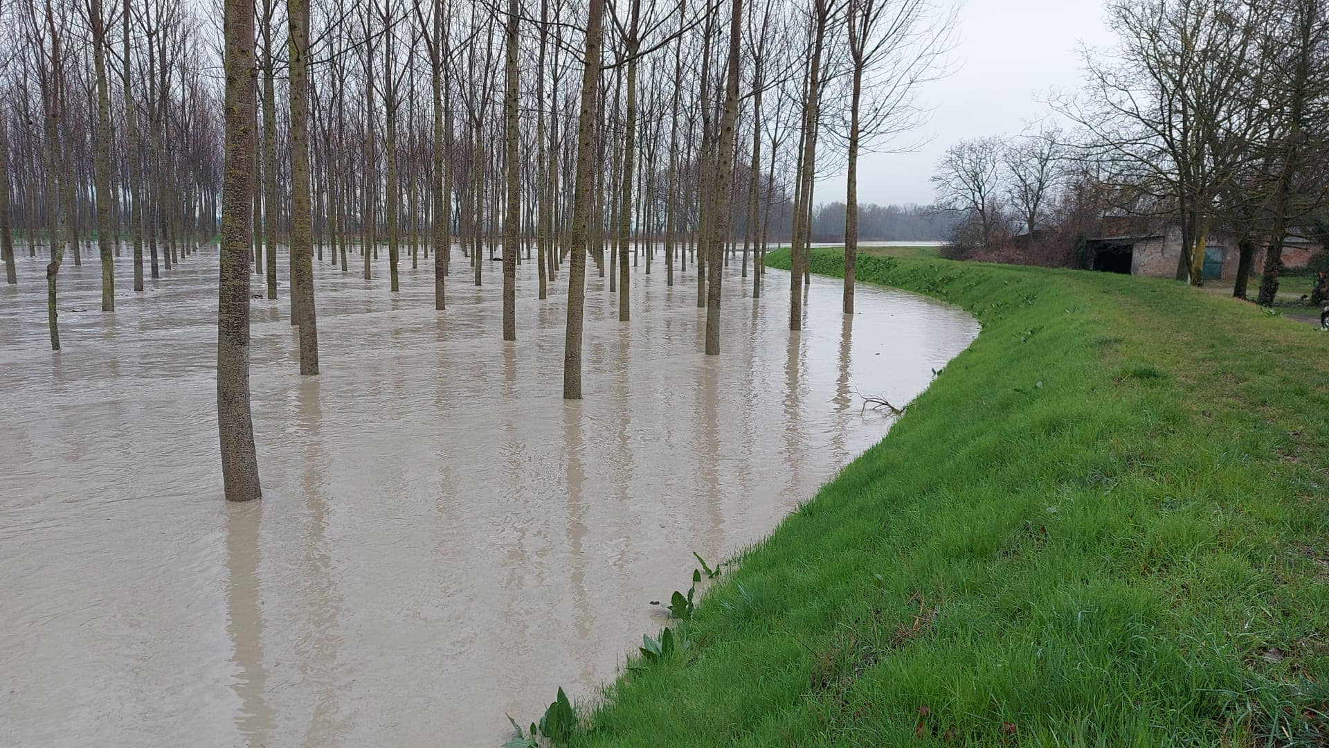 Maltempo Emilia Romagna: fiumi in piena, esondato il Quaresimo. Situazione critica per il fiume Enza