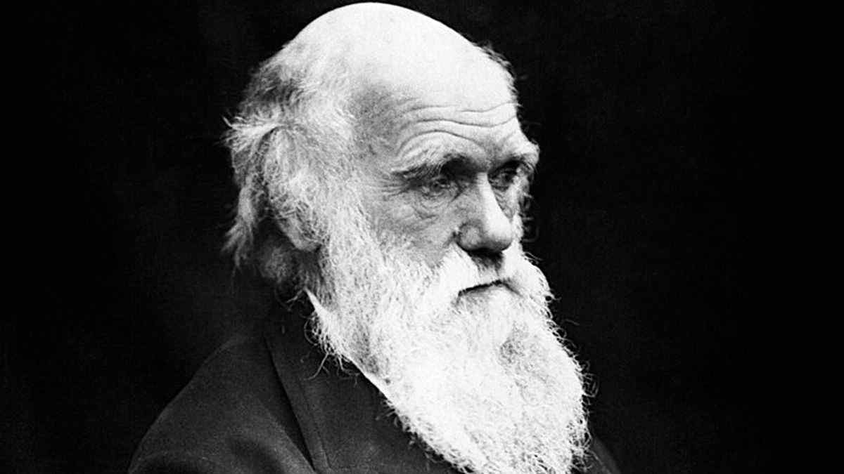 Oggi è il Darwin Day, come nasce la giornata dedicata alla scienza e all'evoluzione