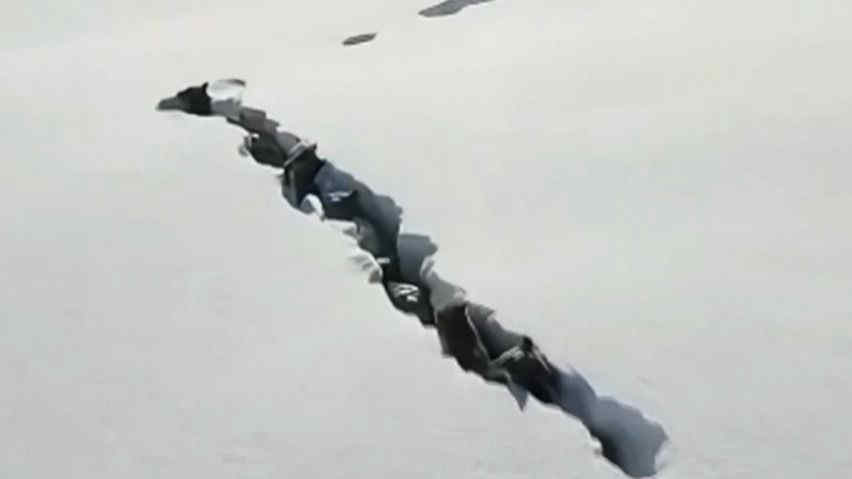 Cina, lupi scavano un tunnel nella neve: le immagini riprese dal drone